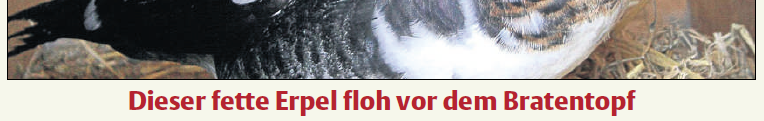 Titelbild der HNA (KS-Mitte) vom 14.12.12